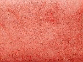 电影《阿凡达：水之道》定档12月16日 全国上映