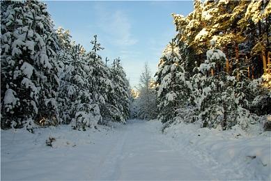 《燕云十六声》官宣公测定档7月26日 承诺绝不跳票